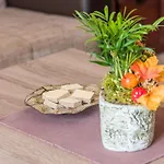 In Mit Grosser Terrasse By Interhome